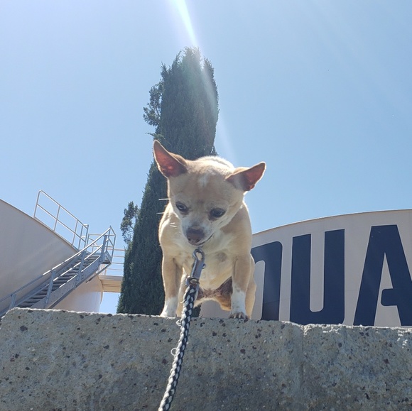 Meet your Posher, Delbert - Picture 1 of 1